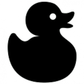 patka crna